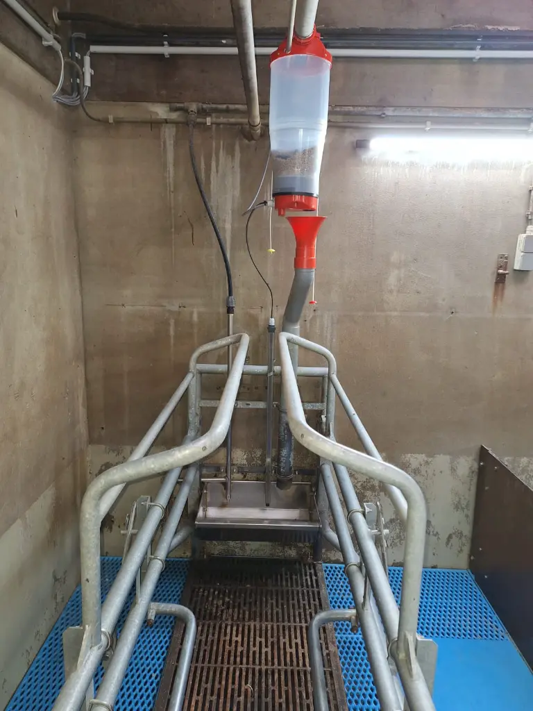 WhatsApp Image 2025-08-29 at 12.13.01.webp