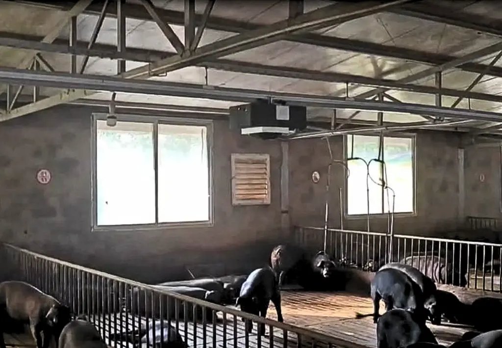 Autocam - Brochure A5-2.webp