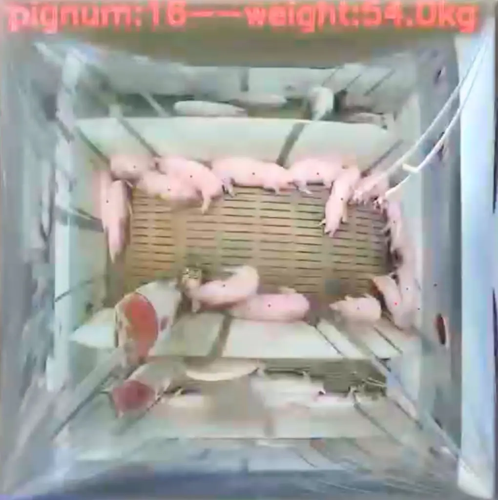 Autocam - Brochure A5-3.webp