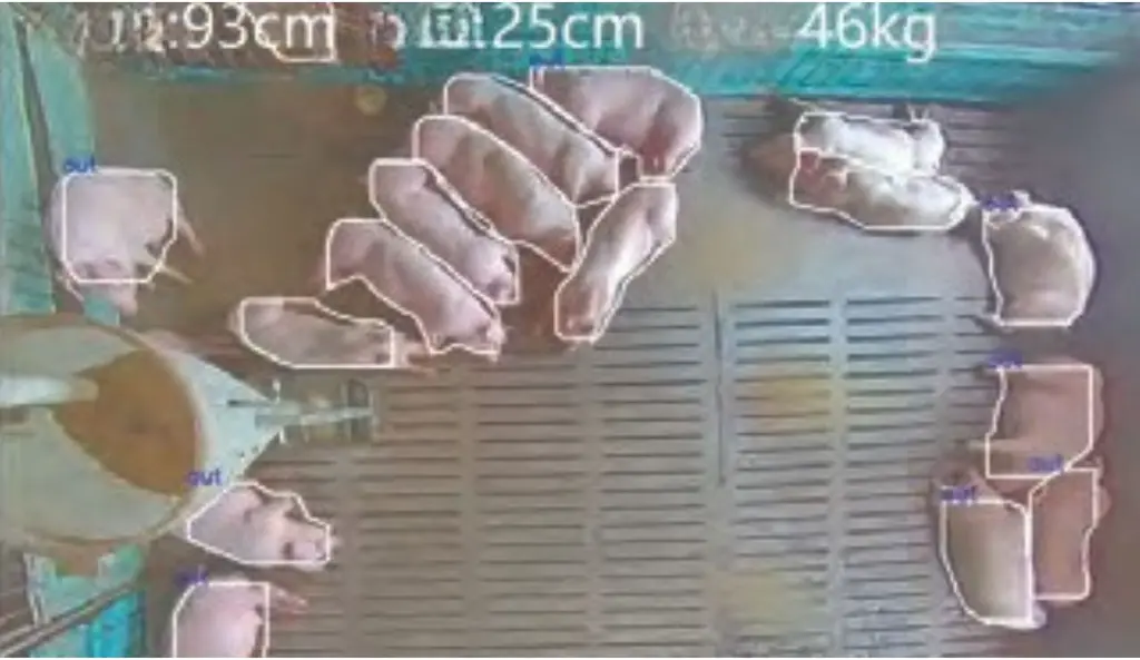 Autocam - Brochure A5-7.webp