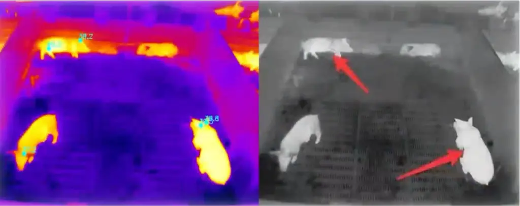 Autocam - Brochure A5-6 copy.webp