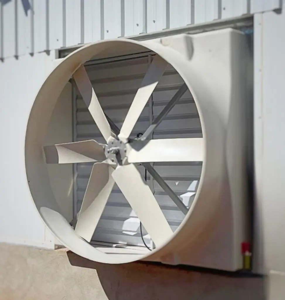 50" fan.webp