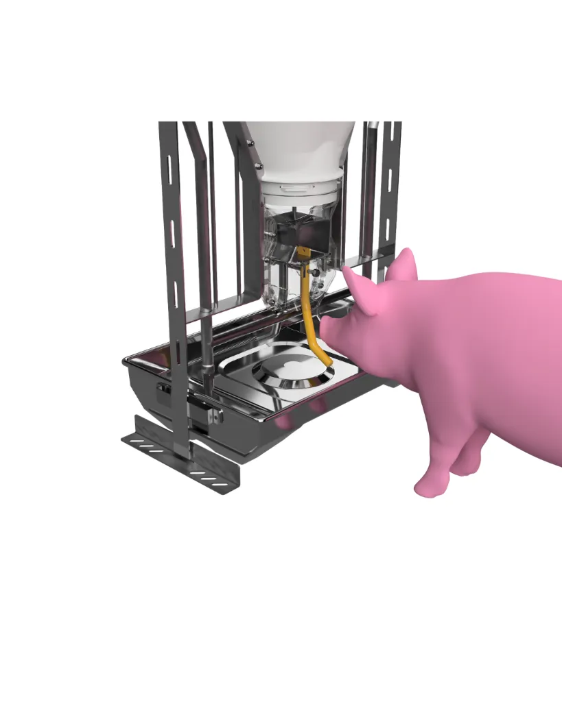 Design sem nome (9).webp