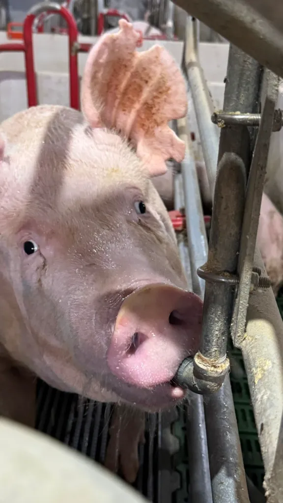 WhatsApp Image 2026-02-06 at 08.40.07 (1).webp