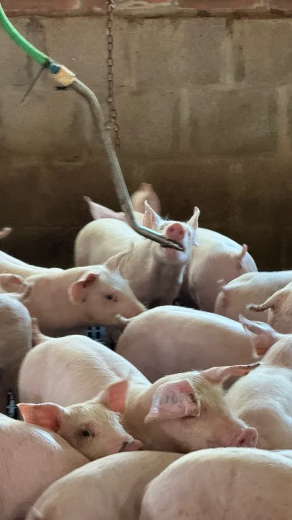 WhatsApp Image 2026-02-06 at 08.40.13 (2).webp