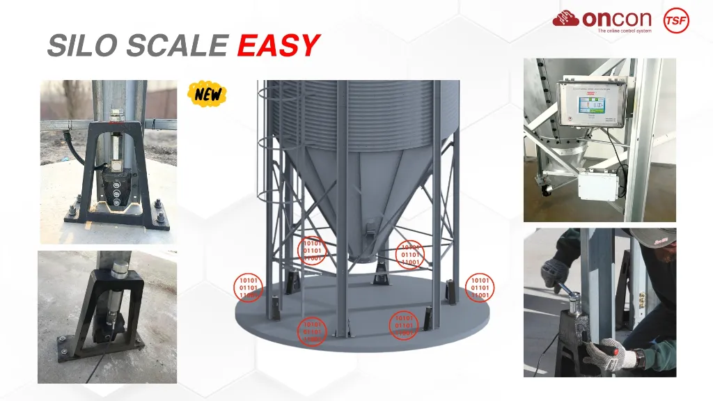 Temu Sales PPT2.webp